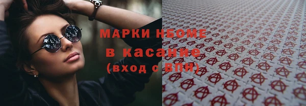 хмурый Аркадак