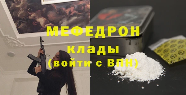 хмурый Аркадак