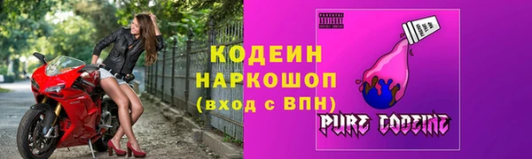 хмурый Аркадак