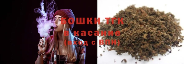 хмурый Аркадак
