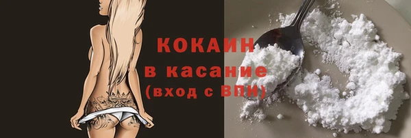 хмурый Аркадак