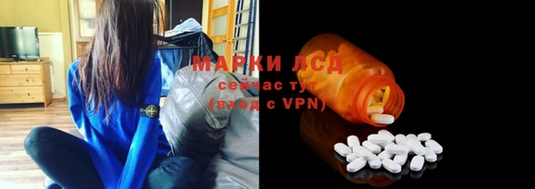 хмурый Аркадак
