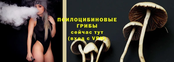 хмурый Аркадак