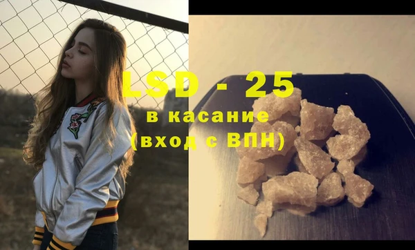 хмурый Аркадак