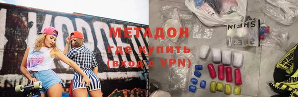хмурый Аркадак