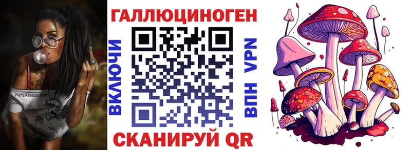 Купить где  Сельцо  Псилоцибиновые грибы Psilocybine cubensis 
